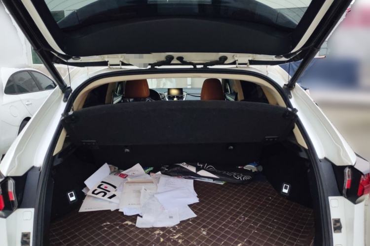 Used Lexus NX 2016 200 All-Wheel Drive FENGSHANG Version
