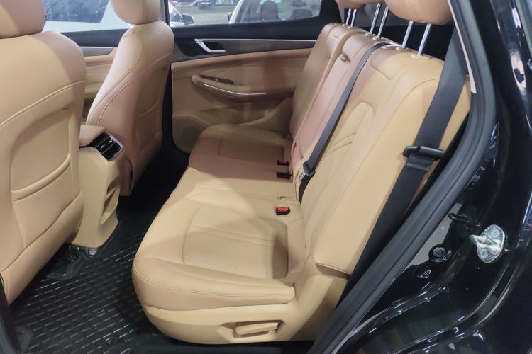 Used Landian E5 2023 1.5L DE-i 100KM Zhenxiang Edition 7-Seater