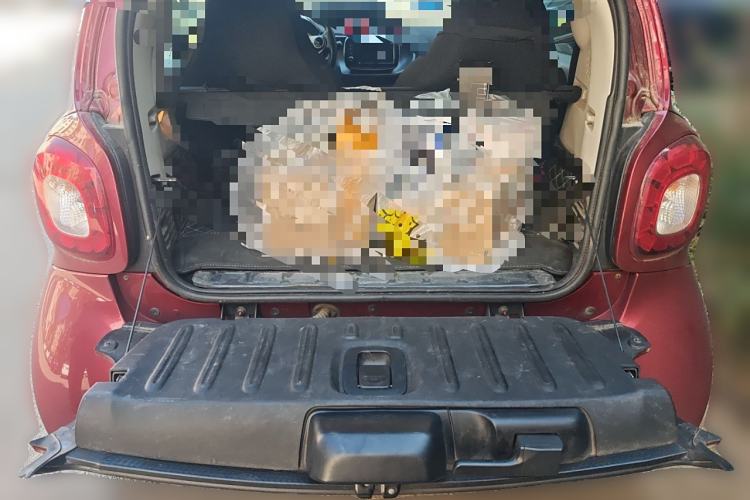 Used smart fortwo 2019 0.9T 66kW Red Instant Special Edition China VI