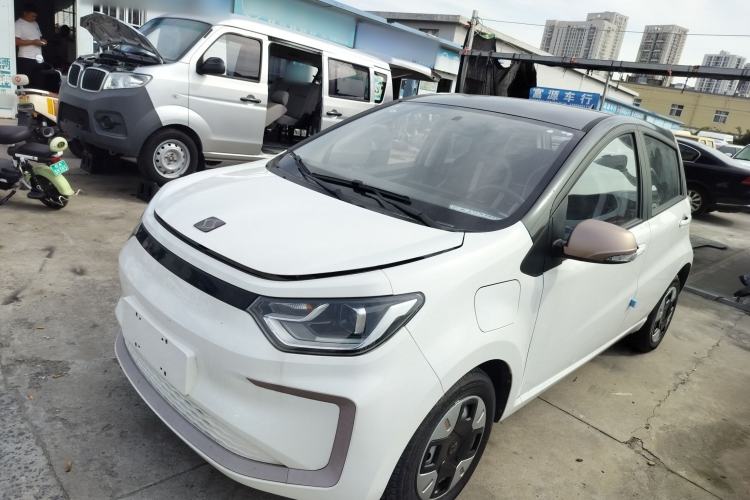 Used SOL E10X 2022 Flower Fairy Design Dandelion