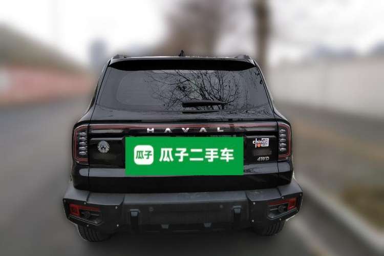 Used Haval DARGO 2024 2.0T DCT Chinese Rural Dog Edition
