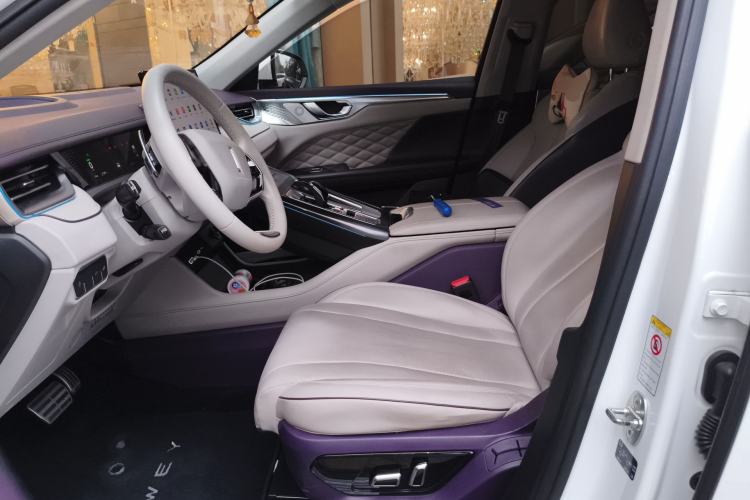 Used Wey Mocha 2021 2.0T Two-Wheel-Drive Ultra-Strong Version Left Front Seat