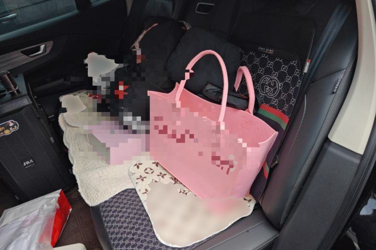 Used Hongqi E-QM5 2023 620km PLUS
