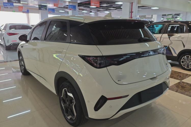 Used BYD Dolphin 2025 Smart Drive Version 420 km Freedom Edition
