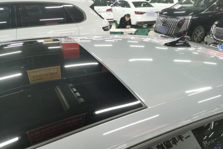 Used Volkswagen Golf 2025 300TSI R-Line
