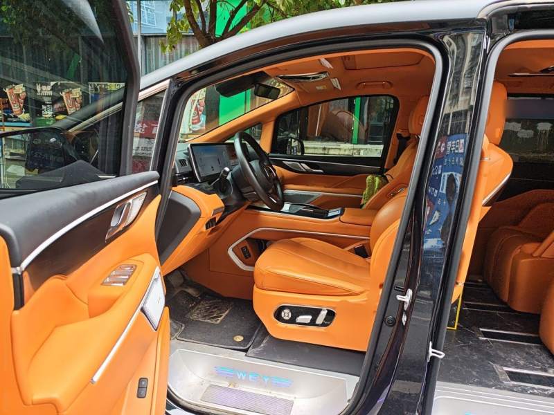 Used Wey Gaoshan 2023 Four-Wheel-Drive Executive Extended Version — 11