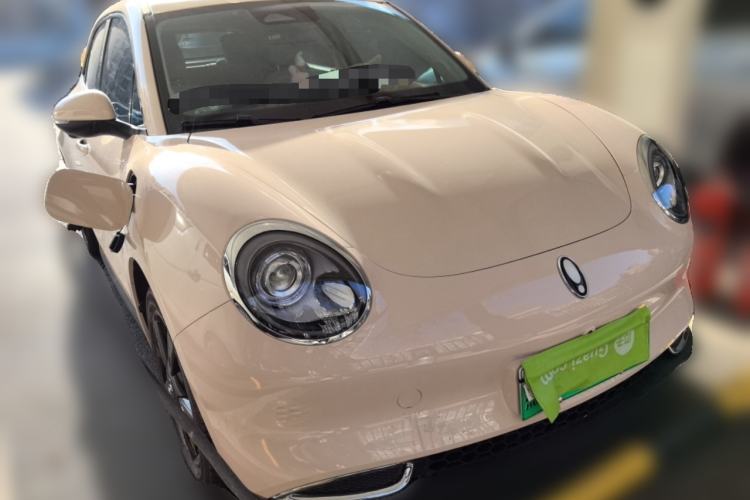 Used ORA Good Cat 2024 401 km Luxury Version