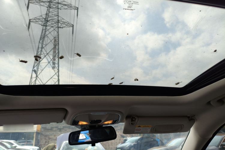 Used Jeep Cherokee 2016 2.4L Professional Smart Version Headliner