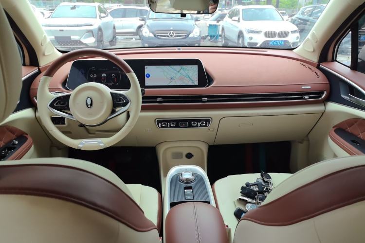 Used ORA Good Cat 2022 Morandi Edition 400km Standard Range Luxury Version Lithium Iron Phosphate