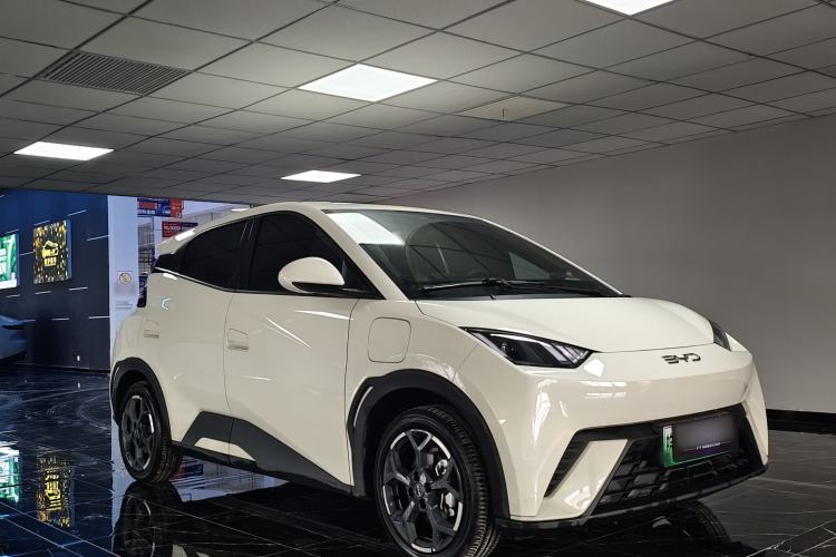 Used BYD Seagull 2025 305 km Free Version