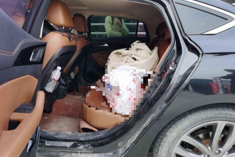 Used Hongqi H5 2018 30TD Smart Connect Dynamic Edition Left Rear Seat