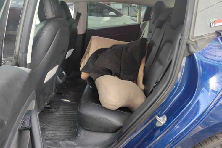 Used Tesla Model 3 2022 Rear-Wheel-Drive Version Left Rear Seat