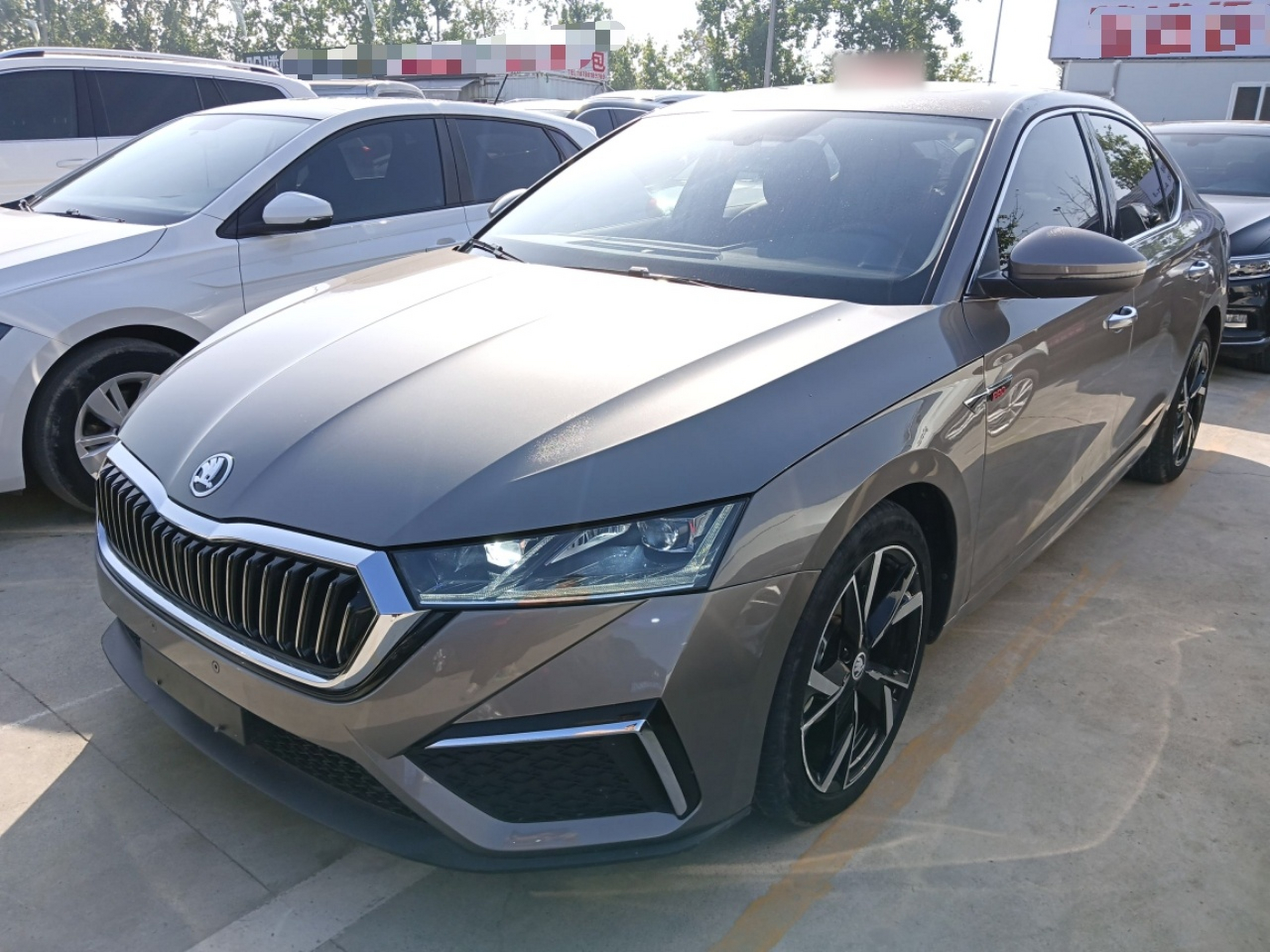 Parte inferior delantera