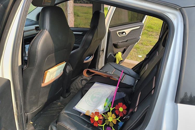 Used SOL E10X 2022 Flower Fairy Design Four-Leaf Clover