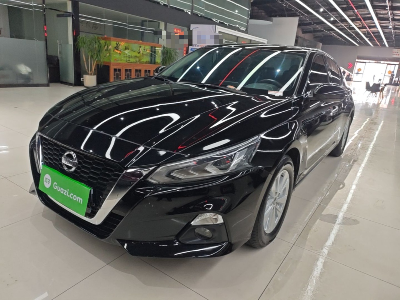 Parte inferior delantera