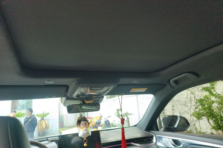 Used Wey Mocha 2021 2.0T Two-Wheel-Drive Premium Edition Headliner