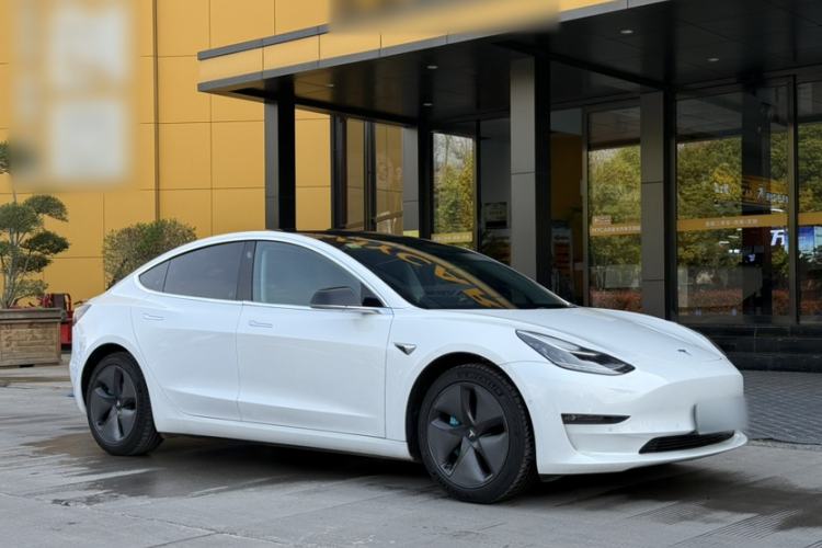 Used Tesla Model 3 2019 Long-Range Rear-Wheel-Drive Version Exterior 9