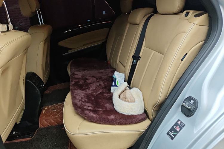 Used Mercedes-Benz M-Class 2010 ML 350 4MATIC Luxury Special Edition