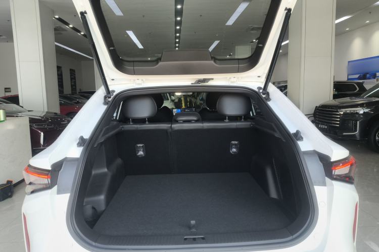 Used Livan Livan 7 2024 605 km Glory Edition