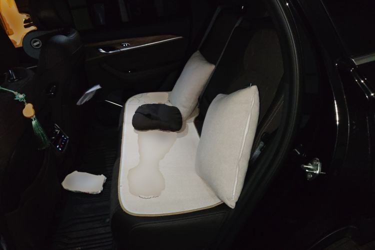 Used Geely Auto Monjaro L 2026 Model Oriental Yao 2.0TD Automatic Lanxing Edition Left Rear Seat