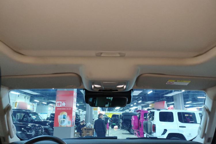 Used Tank 300 2021 City Edition 2.0T My Vision Model