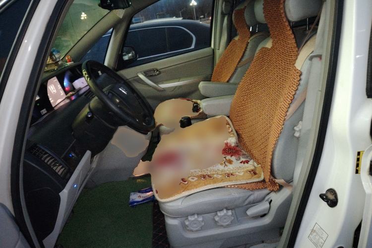 Used Luxgen Great 7 MPV 2015 2.0T Elite Edition Left Front Seat