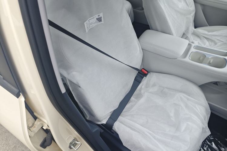 Used Geely Galaxy Geome 2026 Model 410km Carefree Edition Right Front Seat