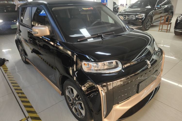 Used ORA White Cat 2022 Xiaoyue Mao Edition 360 km Luxury Model Lithium NMC
