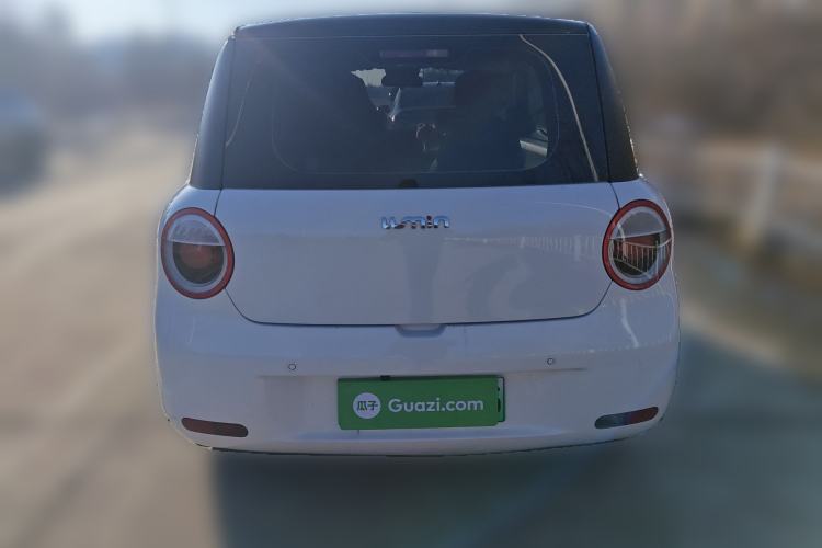 Used Qiyuan Lumin 2022 210km Sweet Edition