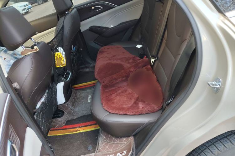 Used Haval Fierce Dragon Max 2023 1.5L Hi4 105 Four-Wheel Drive Navigation Edition Left Rear Seat