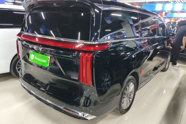 Used Wey Gaoshan 2025 Four-Wheel Drive Alpine 8
