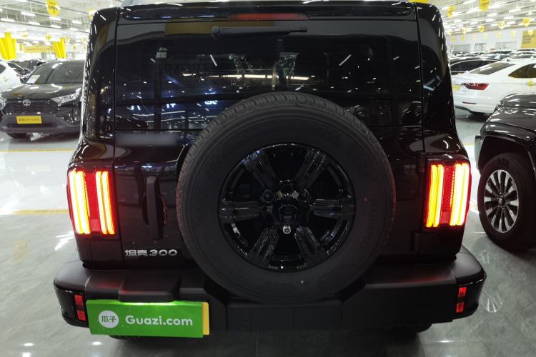 Used Tank 300 2025 2.0T Conqueror