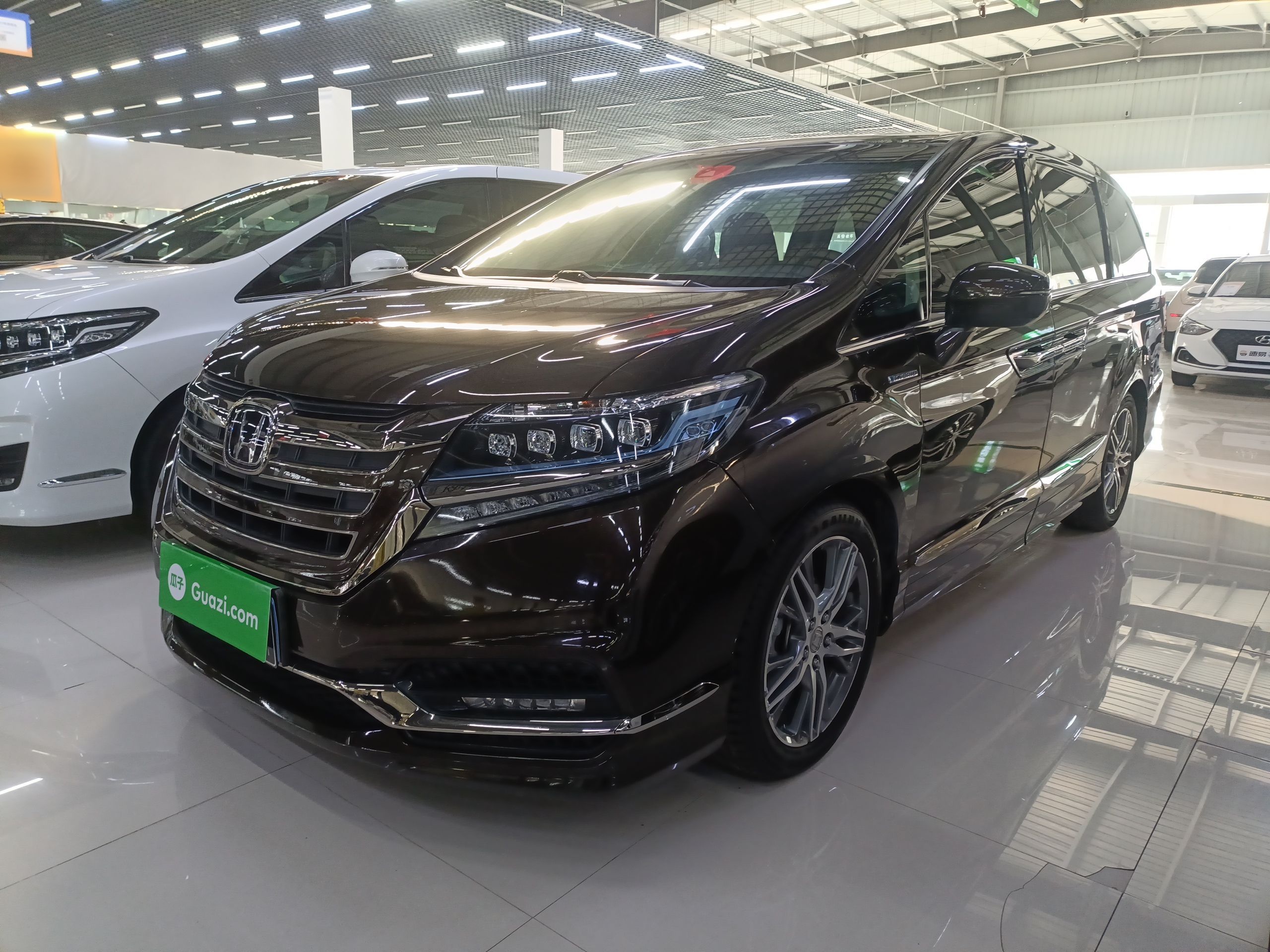 Parte inferior delantera