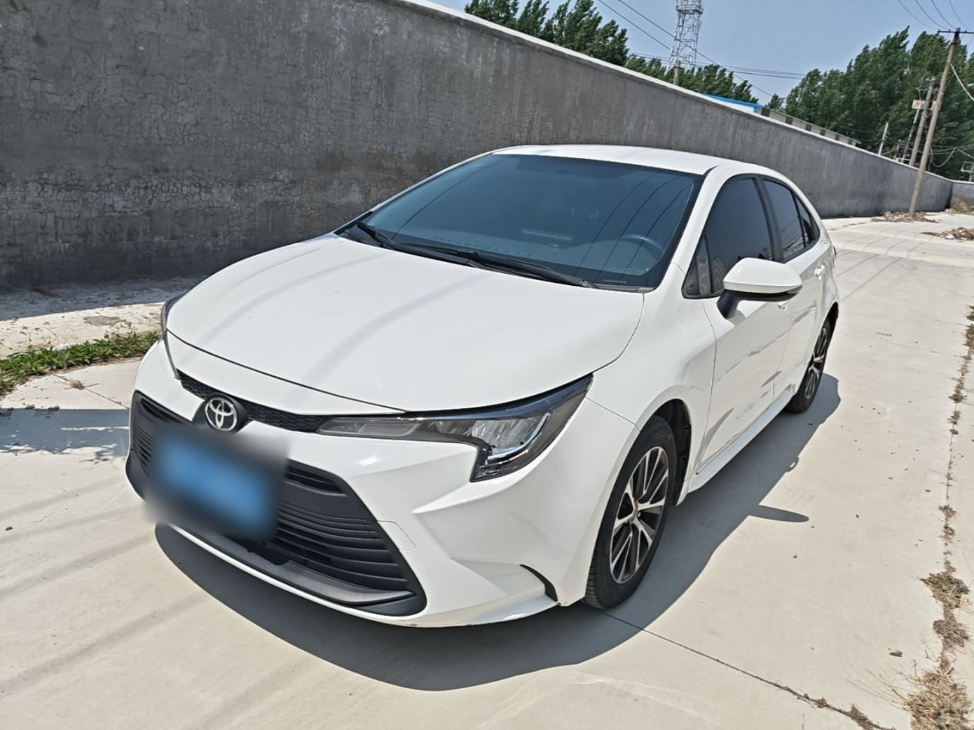 Under Front Bumper