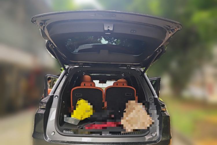 Used Li Auto L9 2022 Max model Trunk