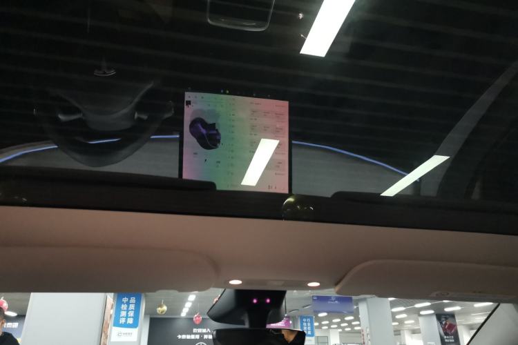 Used Tesla Model Y 2024 Rear-Wheel-Drive Version Headliner