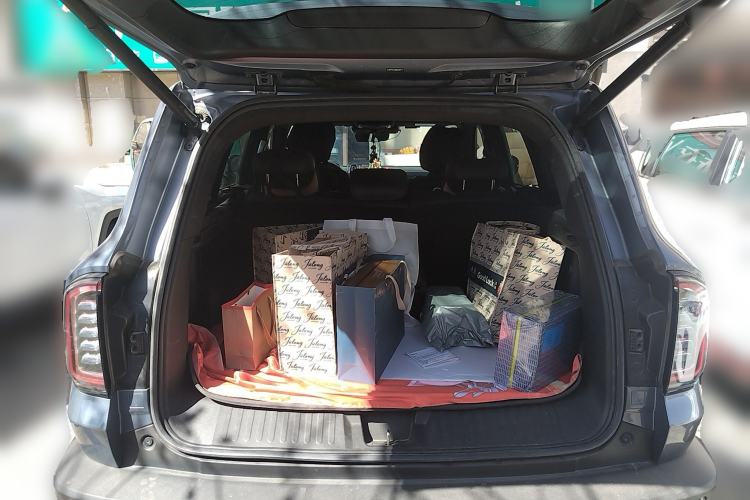 Used Haval DARGO 2021 2.0T DCT 4x4 Chinese Rural Dog Edition Trunk