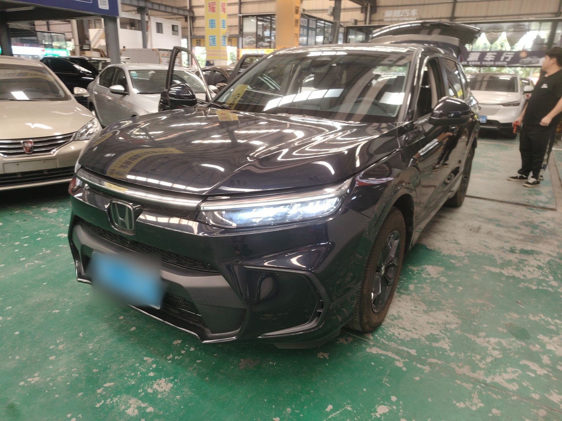 Parte inferior delantera