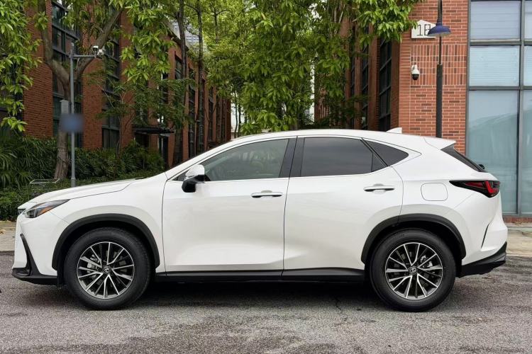 Used Lexus NX 2024 260 Front-Wheel Drive Chuan Yue Edition Exterior 4
