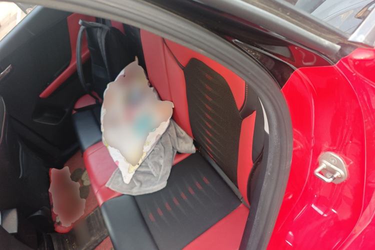 Used BYD e2 2019 Long-Range Version Yao·Luxury Trim