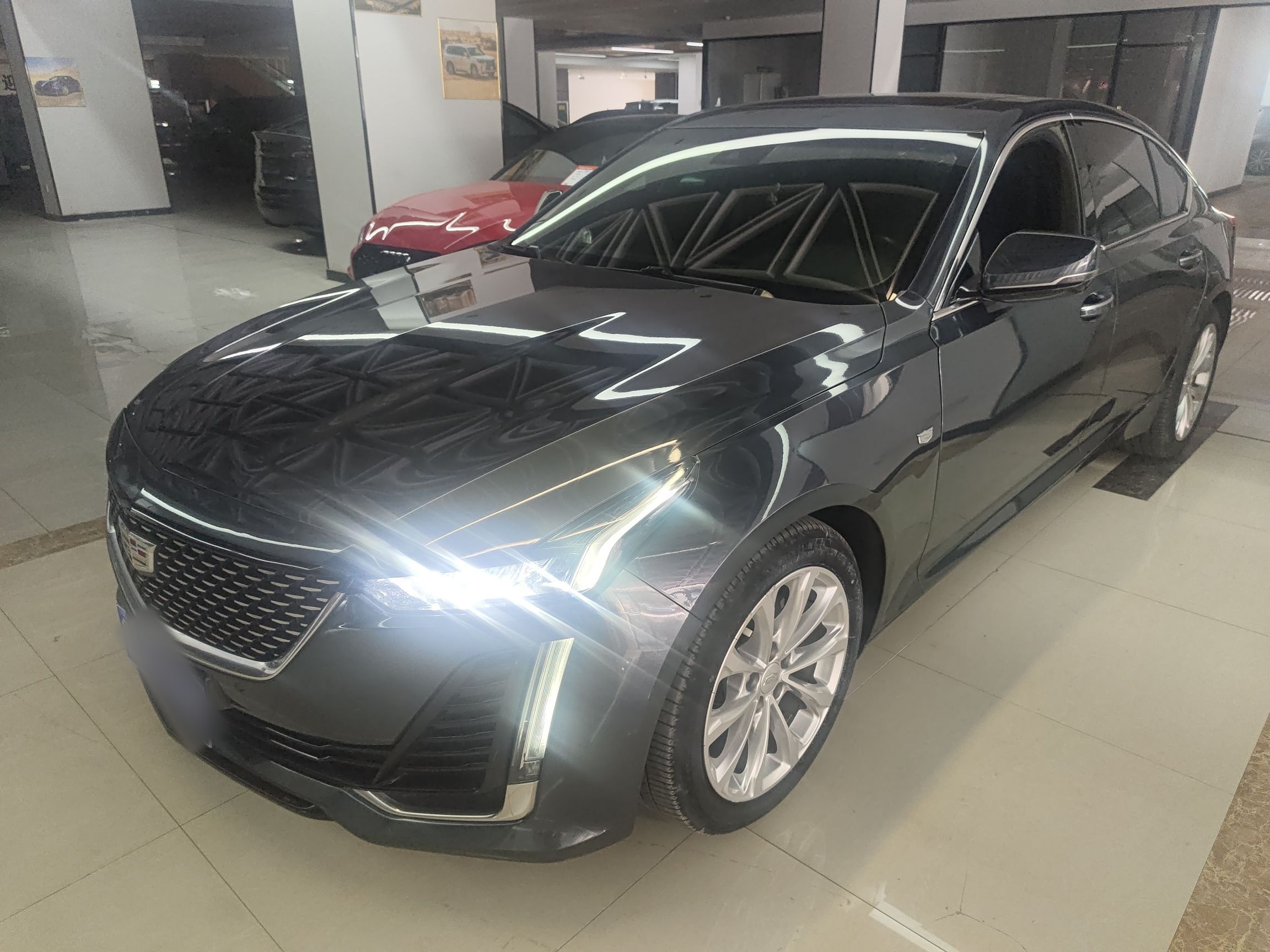 تحت مقدمة السيارة