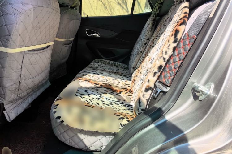 Used Buick Encore 2014 1.4T Manual Two-Wheel Drive Urban Advanced Model Left Rear Seat