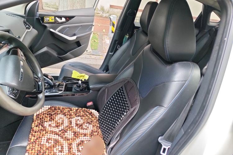 Used Venucia D60EV 2022 Standard Range Smart Drive Version Left Front Seat