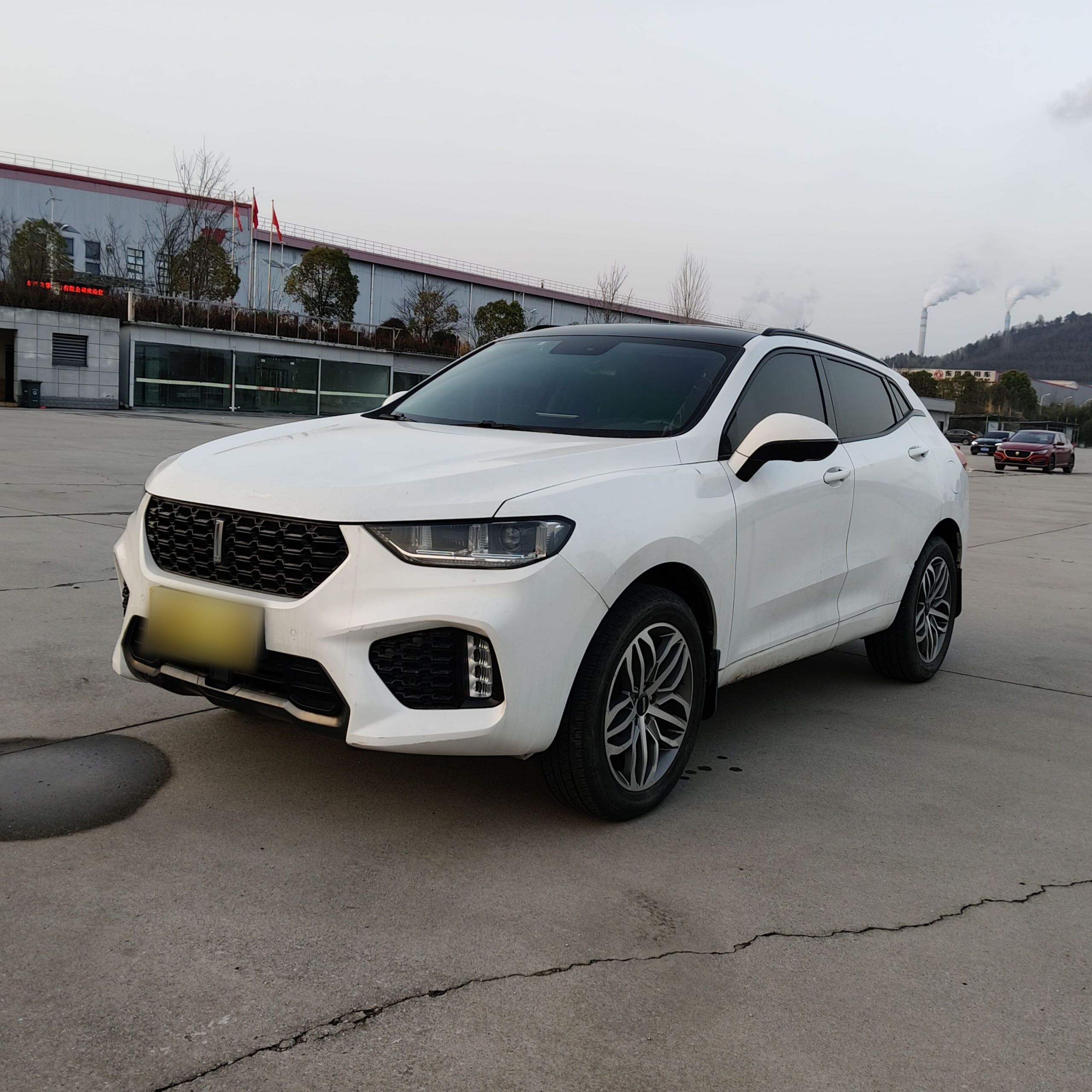 Parte inferior delantera