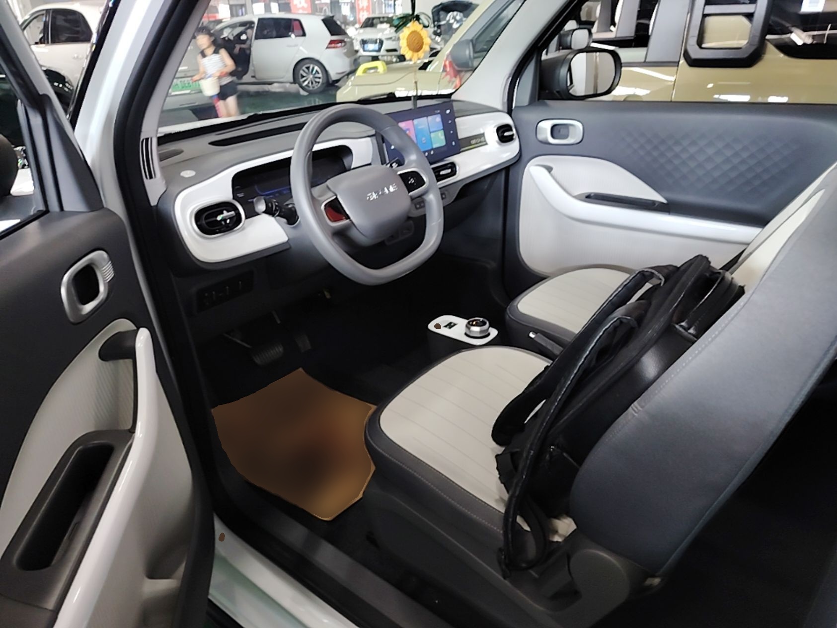 Interior delantero