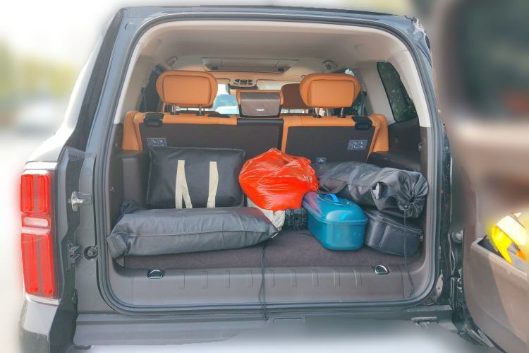 Used Tank 500 New Energy 2026 Model—Hi4-T Smart Enjoyment Version