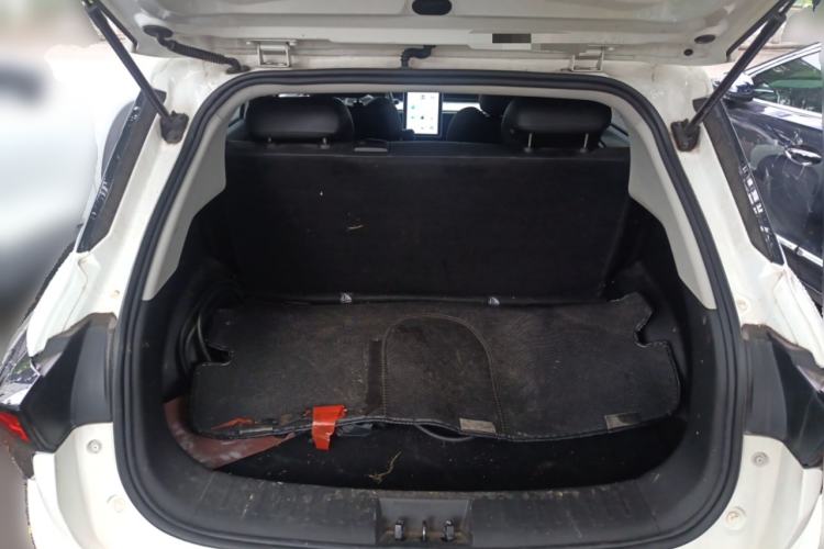 Used NETA V 2021 Long-Range Entertainment Edition Upgrade Model