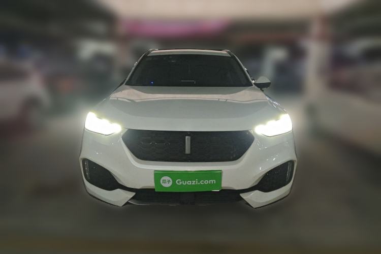 Used Wey VV6 2018 2.0T Two-Wheel-Drive Ultra-Luxury Version China V Standard
