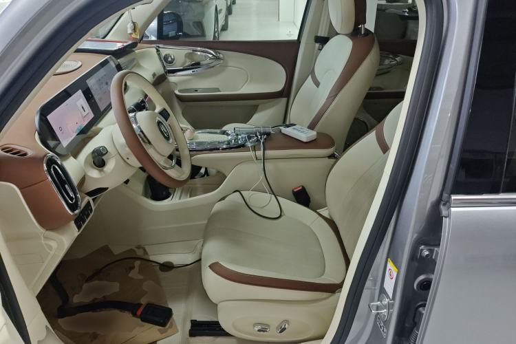 Used ORA Ballet Cat 2023 401 km Luxury Version
