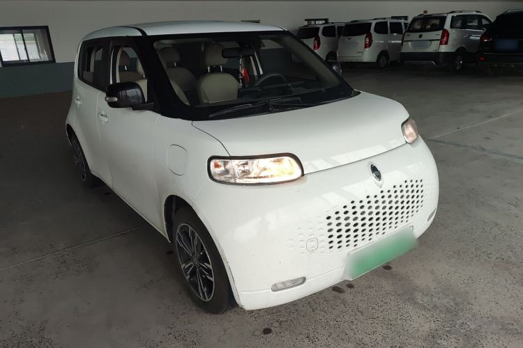 Used ORA White Cat 2020 401 km Long-Range Version
